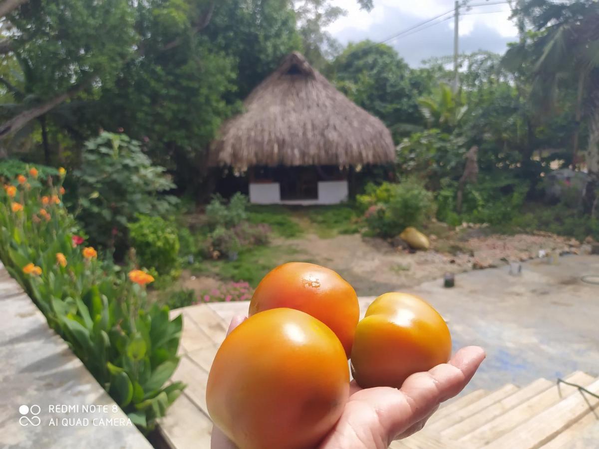 Los Versos de Zaira San Onofre Exterior foto